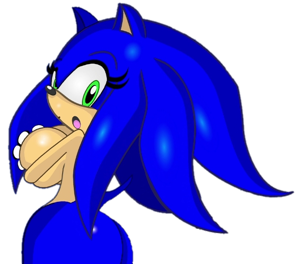 Sonic transformed 1
